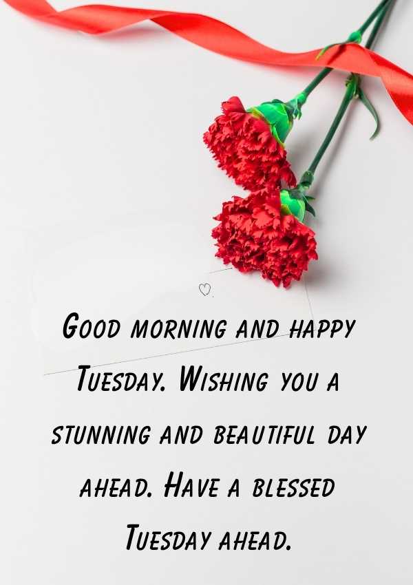 Happy Tuesday Wishes